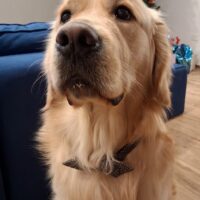 be799e09-ab05-45d2-b0d6-2093473ecb3f