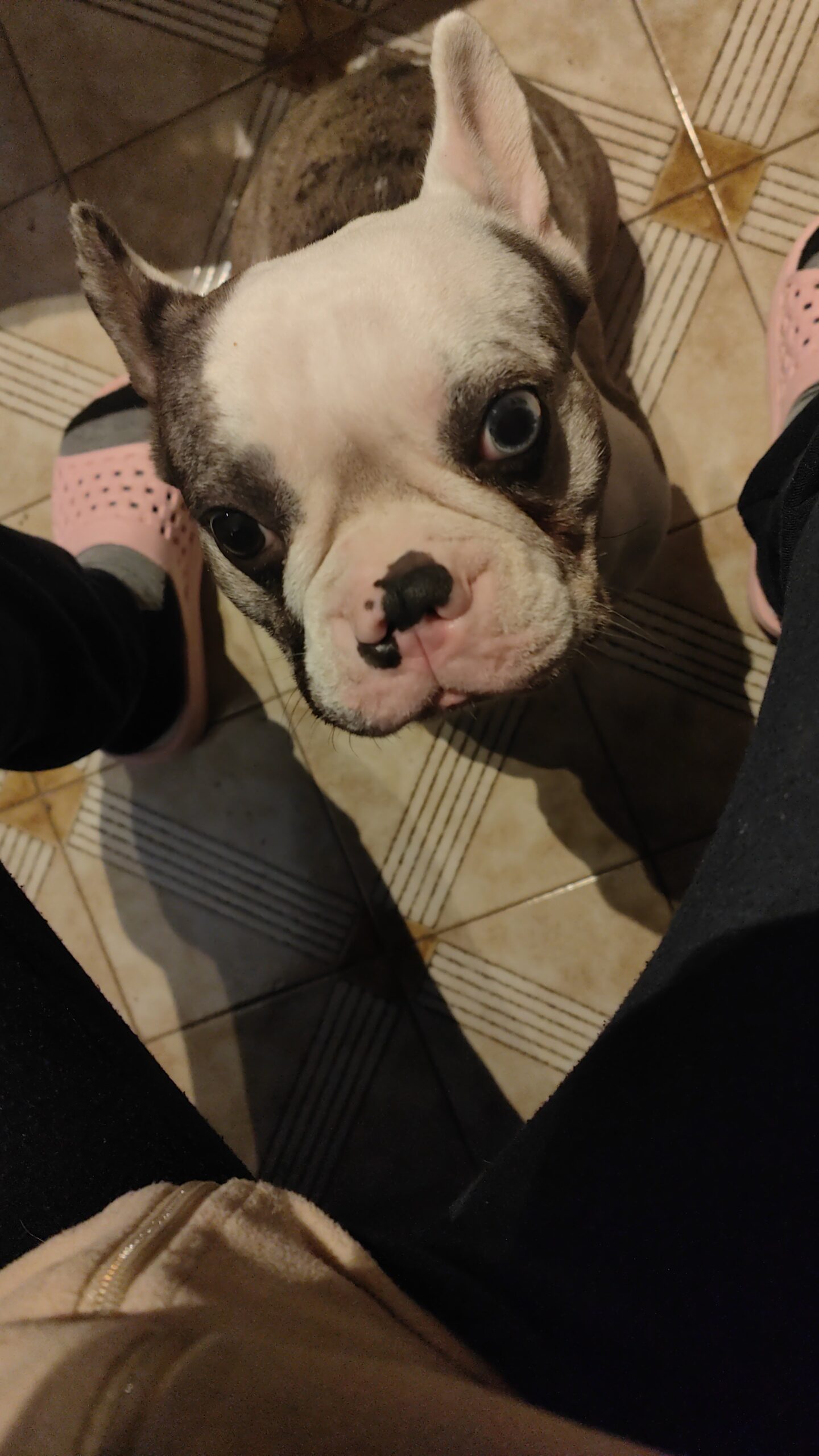 Thor cerca fidanzata