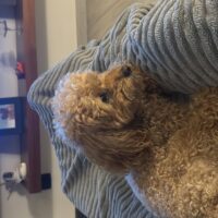 6C1FE6F6-189B-4B40-BD64-A2EF08B572CE