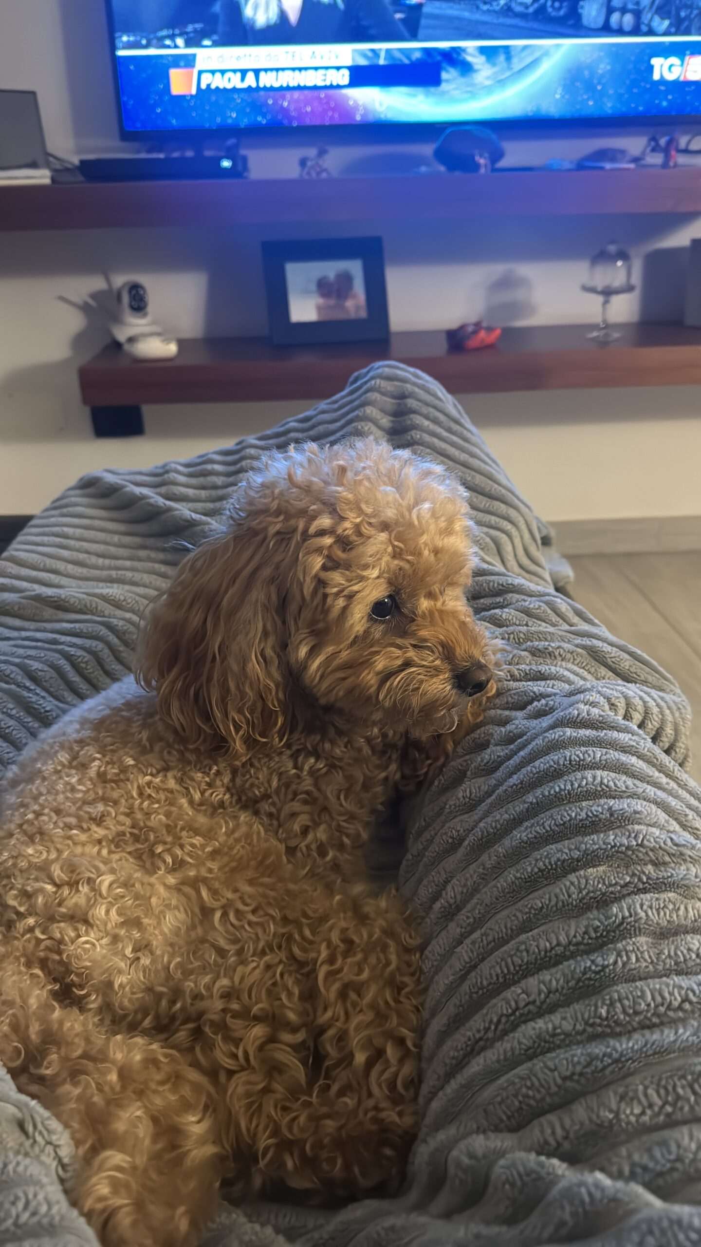 Ciao sono Rio e cerco fidanzatina