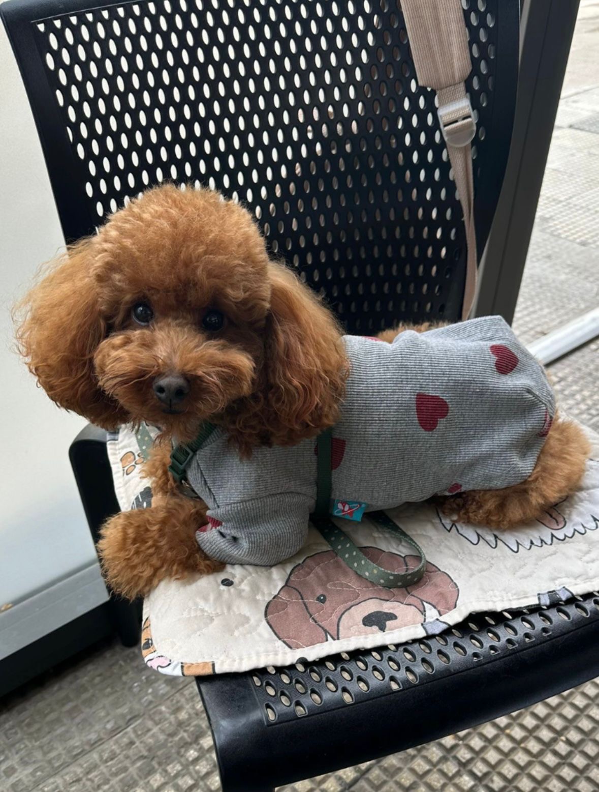 George cerca fidanzata