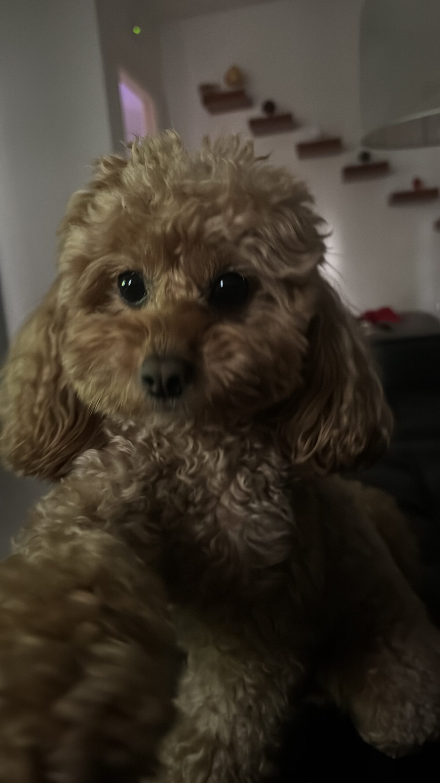 Ciao sono Rio e cerco fidanzatina