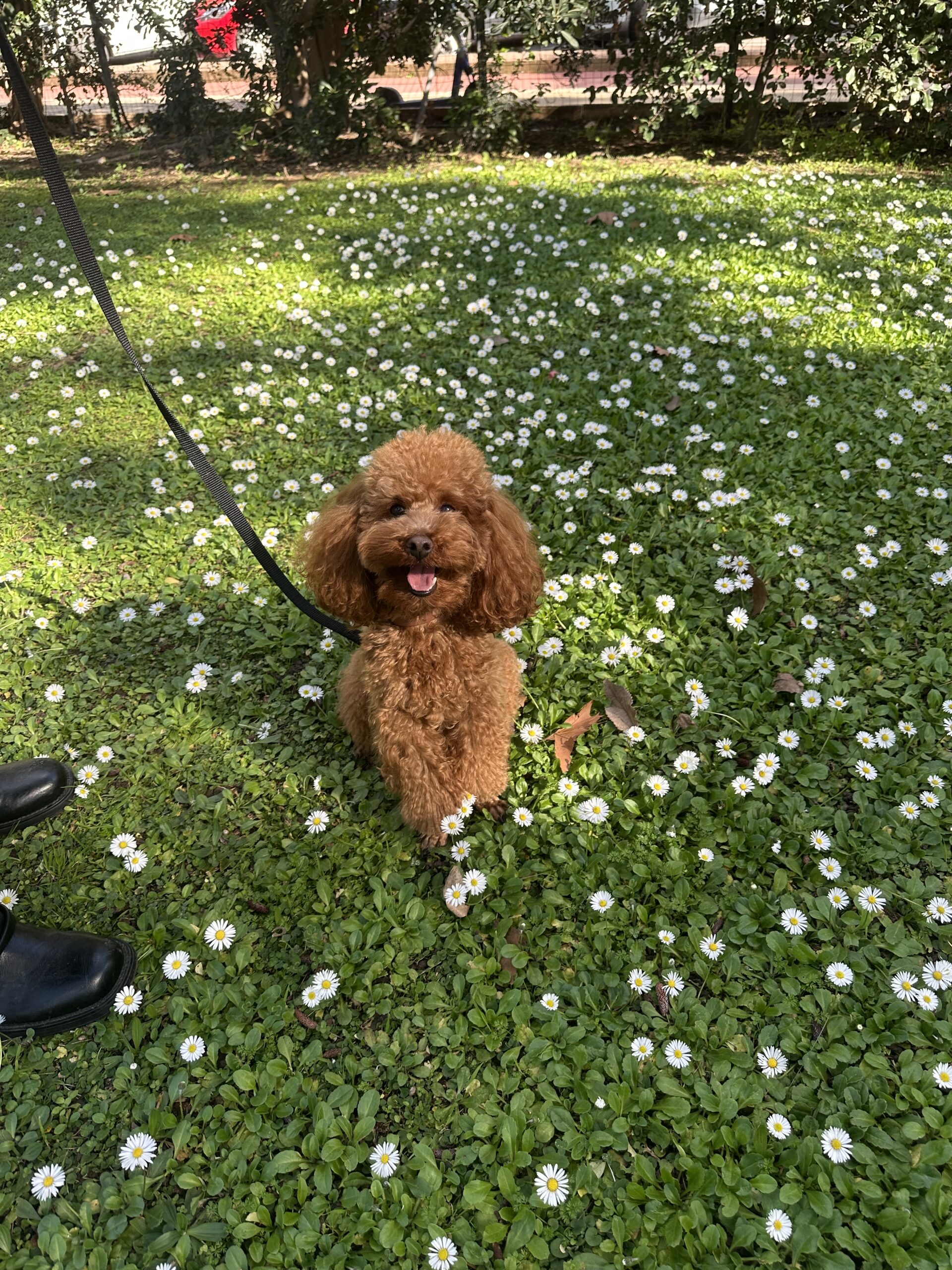 George cerca fidanzata