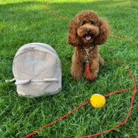 George cerca fidanzata