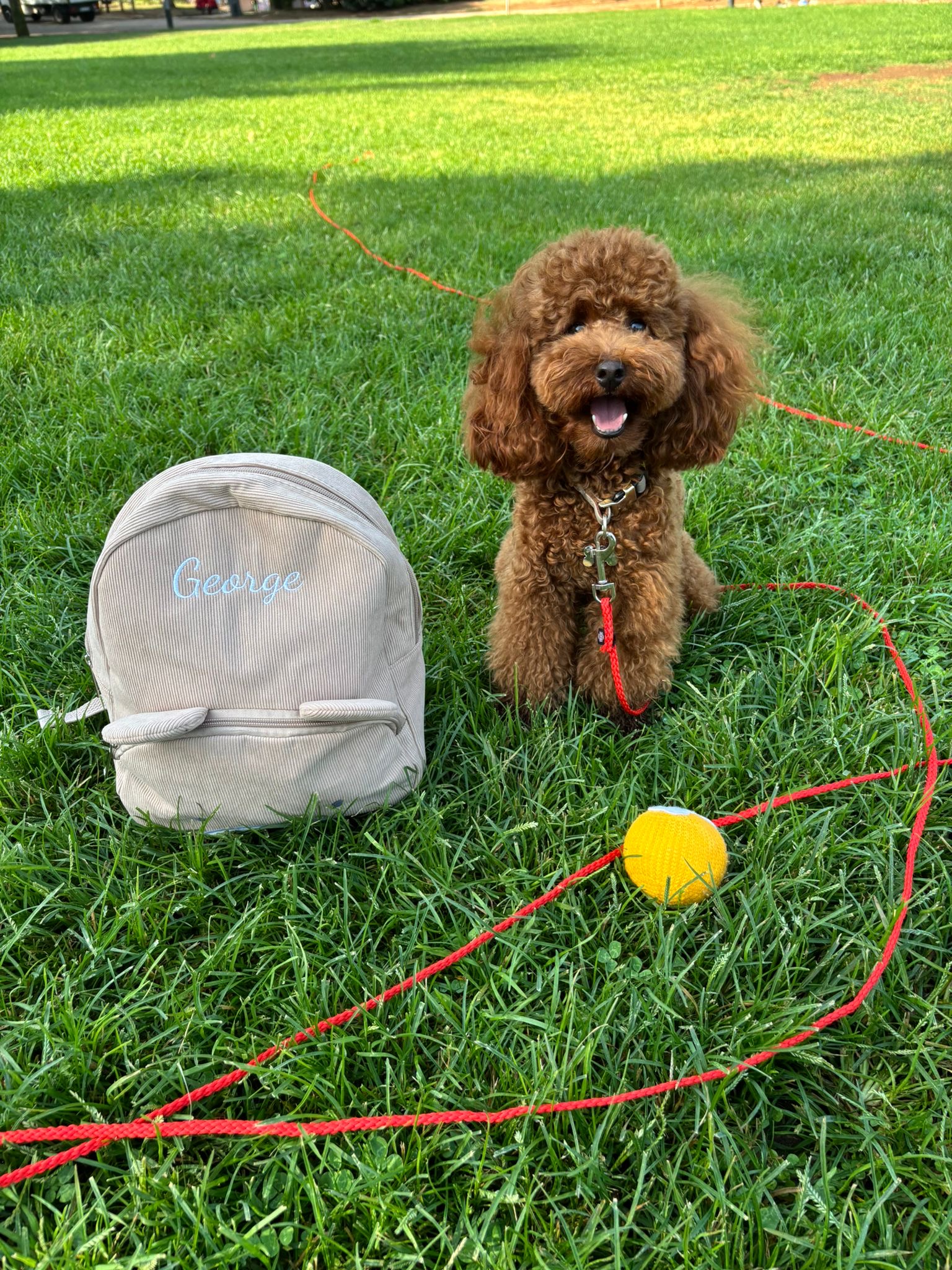 George cerca fidanzata