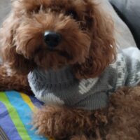 inbound1524855473510989536